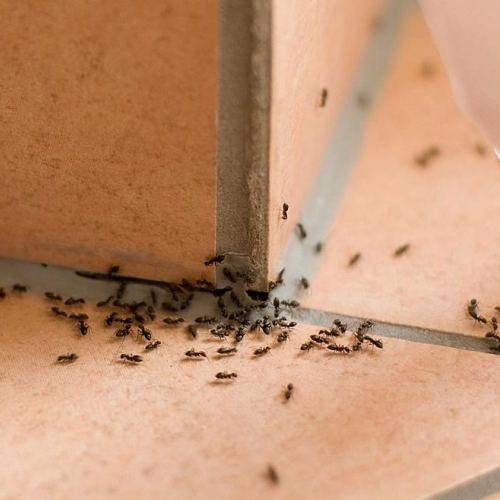 Применение